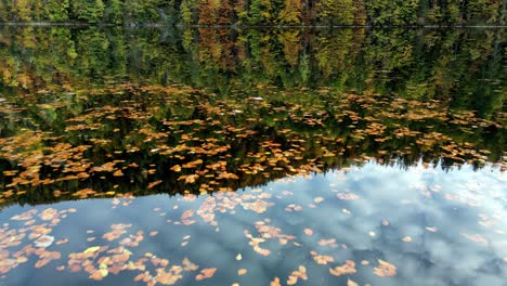 Las-Hojas-De-Otoño-Hacen-Piruetas-En-Un-Lago-En-Calma,-Reflejando-Los-Tonos-Ardientes-Del-Bosque-Cambiante.