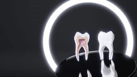 Backenzahn-Querschnittsnerven-Und-Implantat-Im-Zahnarztstudio,-3D-Rendering-Animation,-Schwarzer-Hintergrund
