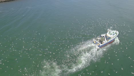 Aerial-orbit-over-the-small-fishing-vessel-with-a-lot-of-seagulls