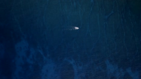 Pequeño-Barco-Navegando-Sobre-El-Arrecife,-Filmado-Con-Un-Dron