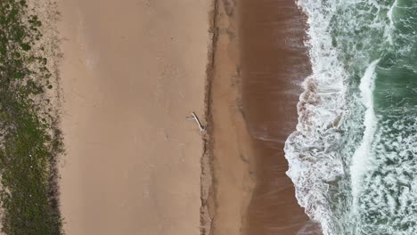Top-down-view-of-a-beautiful-South-African-Beach,-aerial-drone-shot-of-waves-on-the-beach-with-driftwood