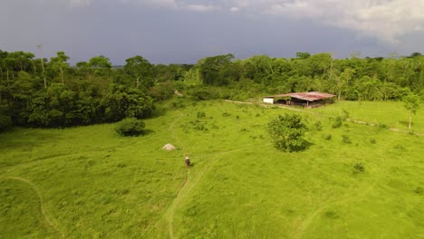 Aerial-shot-of-a-lone-horse-rider-trotting-through-a-lush-green-field-with-a-rustic-shack-nearby,-cloudy-sky-overhead