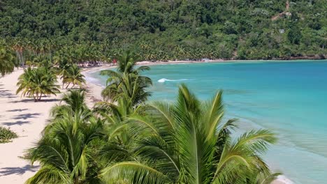 Playa-Rincon-lined-with-palm-trees-and-idyllic-blue-Caribbean-sea,-aerial