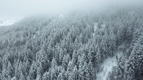 Slow-aerial-shot-overhead-a-snowy-mountainside-forest-with-dense-fog-in-Utah