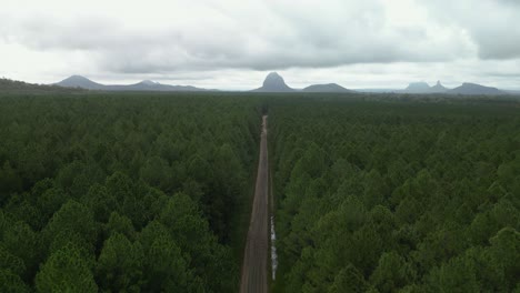 Fahrt-Auf-Einer-Unbefestigten-Straße-Durch-Einen-Kiefernwald,-Der-Zu-Den-Glass-House-Mountains-Führt