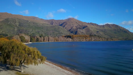 Lago-Wanaka-Costa-Nueva-Zelanda-Verano-Otoño-Aéreo-Cinematográfico-Zumbido-Impresionante-Cielo-Azul-Hermosa-Mañana-Tarde-Cardrona-Queenstown-Isla-Sur-Lentamente-Hacia-Arriba-Movimiento
