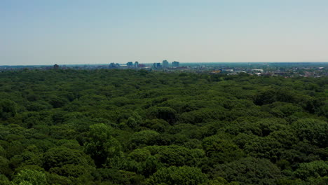 Experience-the-lush-beauty-of-Forest-Hills-Forest-Park-in-New-York,-Queens,-during-the-vibrant-summer-season-through-a-captivating-drone-push-shot