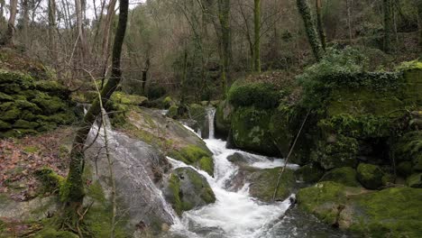 Üppiger-Mini-Wasserfall-In-Barrias,-Felgueiras,-Portugal---Luftaufnahme