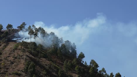A-forest-fire-on-the-top-of-a-mountain-burning-the-undergrowth-in-Nepal