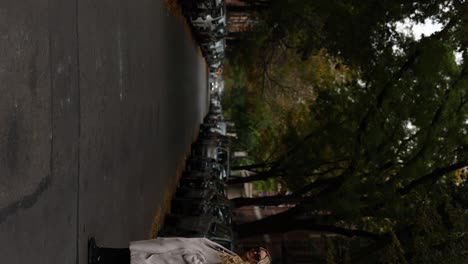 Vertical---Woman-Walking-Across-The-Street-At-The-Park-In-New-York-City