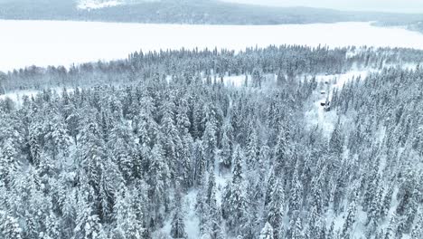 Panorama-Of-Snow-covered-Forest-And-Frozen-Lake-In-Winter-In-Pyha,-Finland