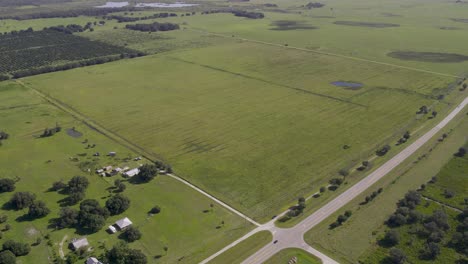 Aerial-view-of-vast-flat-citrus-farm-plantation-land