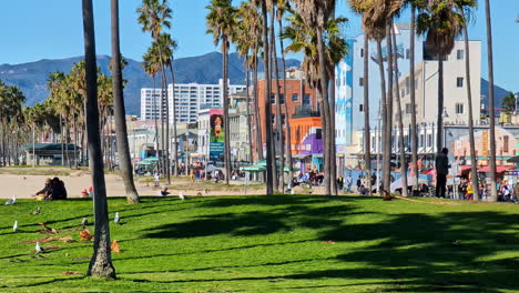 Daytime-view-of-visitors-to-Venice-Beach-boardwalk-with-palm-trees,-California