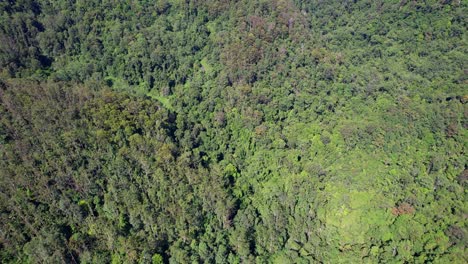 Vista-De-Pájaro-Sobre-El-Valle-De-Currumbin-Con-Una-Exuberante-Selva-Tropical-En-Queensland,-Australia---Disparo-De-Un-Dron