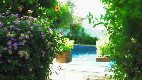 Scenic-botanical-garden-with-swimming-pool-and-colorful-flowers,-plants-in-Spain