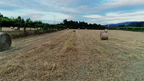 Una-Vista-Aérea-De-Un-Gran-Campo-Marrón-Industrial-Con-Muchos-Fardos-De-Heno-En-4k