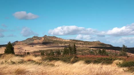 Mountain-landscape-with-golden-grass-on-a-windy-day