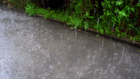 Heavy-raindrops-hitting-the-wet-ground-with-lush-green-foliage-in-the-background,-daytime