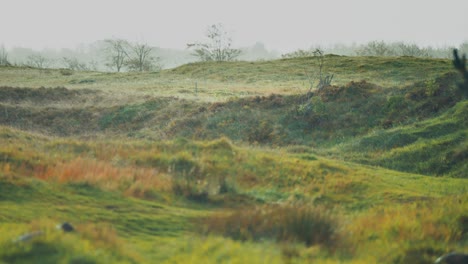 Green-grass-covered-hills-on-the-gloomy-rainy-day-with-a-light-drizzle-falling-slowly