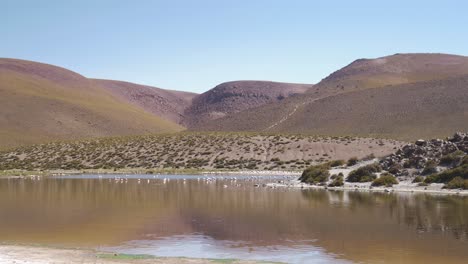 Pink-and-White-Flamingos-Distant-on-a-River-in-the-Mountains-Desert-Day