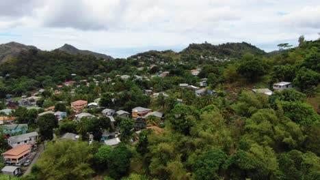 Lush-grenadian-rainforest-with-scattered-homes,-daytime,-aerial-view