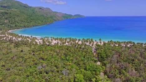 Luftaufnahmen-Kreisen-über-Dem-Strand-Playa-Rincon-Und-Dem-Türkisfarbenen-Meerwasser-In-Der-Dominikanischen-Republik