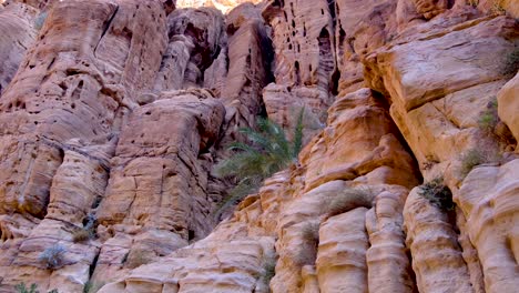 Dramatic,-steep-and-craggy-red-rock-formations-of-steep-cliffs-with-hardy-green-plant-growing-in-harsh-desert-environment-of-Wadi-Ghuweir-in-Jordan,-Middle-East