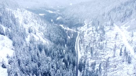 Aerial-tilt-up-view-of-a-winter-rural-mountain-road-among-snow-capped-evergreen-trees