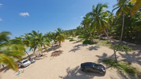 Dynamic-FPV-aerial-through-palm-trees-on-exotic-Caribbean-sand-beach,-no-people