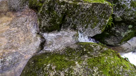 Rocas-Cubiertas-De-Musgo-Y-Primer-Plano-De-Arroyo,-Felgueiras,-Portugal