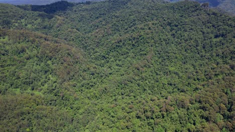 Valle-De-Currumbin-Con-Exuberante-Y-Densa-Selva-Tropical-En-Queensland,-Australia---órbita-De-Drones