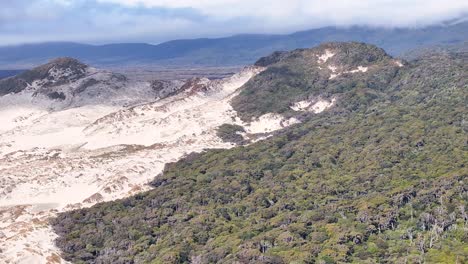 Huge-sand-dune-meets-native-rainforest-in-Stewart-Island,-New-Zealand