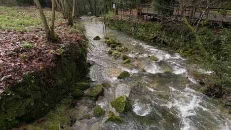 Flujo-De-Arroyo-Rústico-En-Un-Exuberante-Bosque---Aéreo