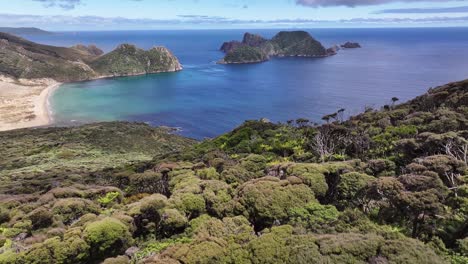 Playa-Este-Accidentada,-Isla-Stewart