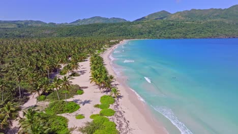 Cinematic-flight-over-beautiful-sandy-beach-of-Rincon-with-blue-Caribbean-Sea-and-Palm-tree-plantation