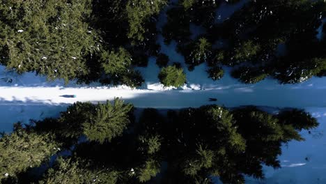 Zwei-Personen-Rodeln-Gemeinsam-Einen-Abhang-Im-Wald-Hinunter