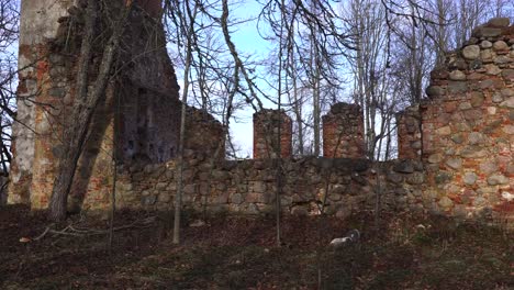 Spaziergang-In-Der-Nähe-Zerstörter-Kirchenfelsen-Und-Ziegelmauer,-Ländliche-Umgebung