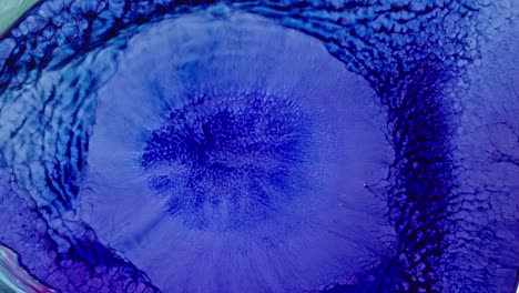 Tinta-Azul-Arremolinándose-En-Agua-Clara,-Creando-Un-Patrón-Abstracto-Que-Recuerda-A-La-Vida-Marina-O-Texturas-Naturales