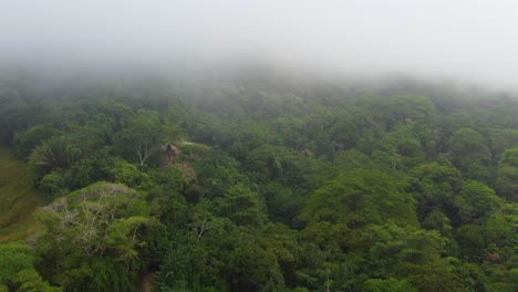 Aerial-Rainforest-Amazon-nature-trees-vegetation-of-Minca,-Colombia