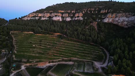 Drone-Shot-of-Terraces-With-Agricultural-Fields-and-Hillside-Village-in-Calanque-National-Park,-France