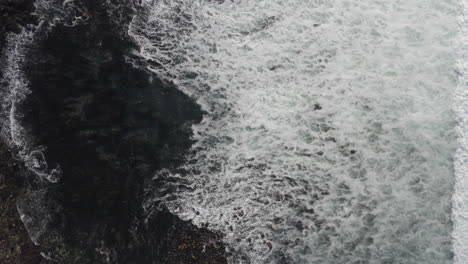 4K-Kamerafahrt-Von-Oben-Mit-Wellen,-Die-Sich-Durch-Eine-Kelp-Lagune-Mit-Seehunden-In-Monterey,-Kalifornien-Bewegen