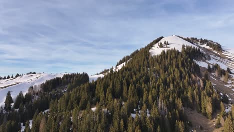 Winter-Pines-on-Churfirsten-Slopes,-Glarus,-Switzerland---aerial