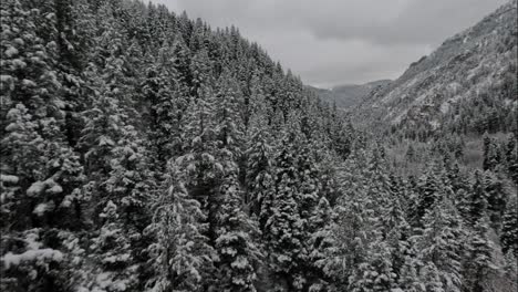 Snowy-Winter-Forest-In-American-Fork-Canyon,-Utah---Aerial-FPV