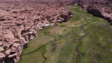Flyover-rugged-Valle-de-las-Rocas-landscape-with-llamas-in-valley