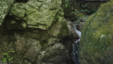 Rocas-Cubiertas-De-Musgo-Y-Un-Pequeño-Arroyo-En-El-Bosque-Japonés