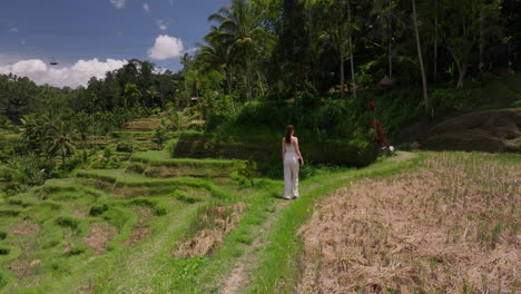 Young-woman-gracefully-traverses-the-vibrant-Tegallalang-Rice-Terrace