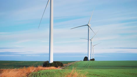 Windräder-Ragen-über-Die-Felder-Mit-Frischen-Grünen-Sprossen