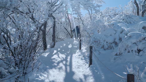 HIker-Pov-Hiking-at-Balwangsan-Mountain-Mona-Park-Walking-Through-Snowcapped-Forest-in-Winter-Wonderland,-Pyeongchang-gun,-Gangwon-do,-South-Korea---slow-motion