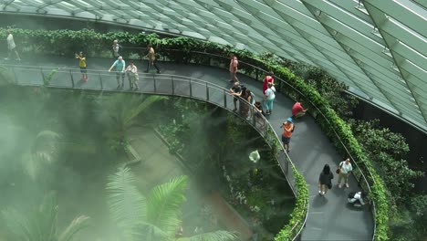 Aerial-walkway-at-the-cloud-forest-conservatory-with-temperature-control-and-mist-spraying-to-keep-the-environment-moist,-Gardens-by-the-bay-the-top-tourist-attraction-in-Singapore