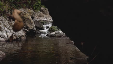 Mirando-Una-Pequeña-Cascada-Que-Cae-En-Un-Río